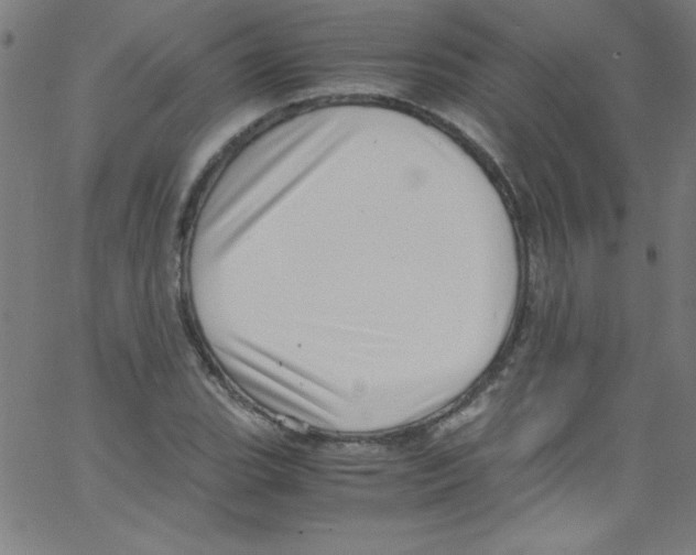 X0000067401119200604281901