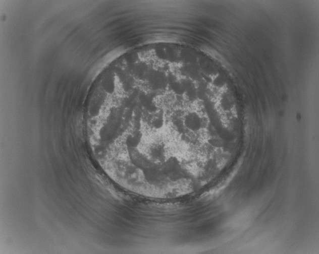 X0000067401121200604281901