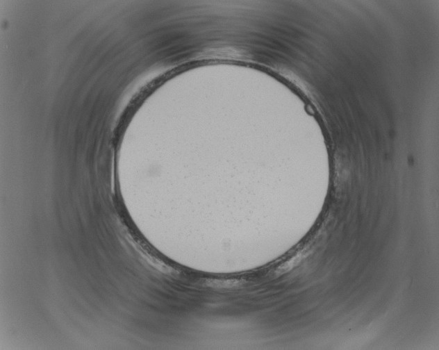 X0000067401123200604281901