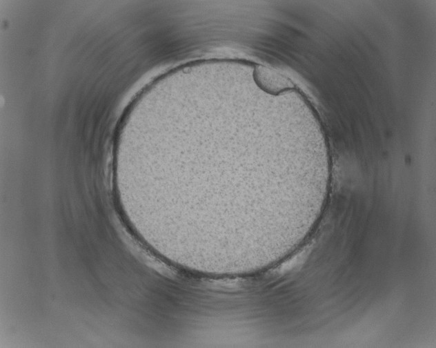 X0000067401126200604281901