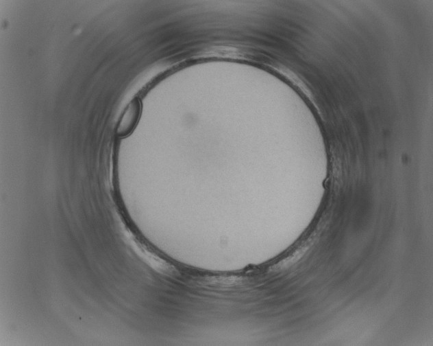 X0000067401131200604281901