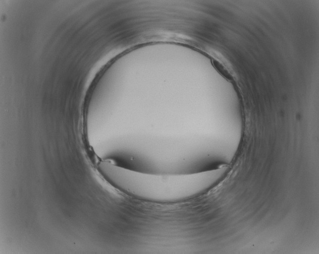 X0000067401136200604281901