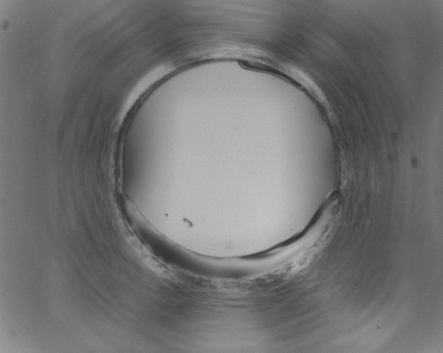 X0000067401138200604281901