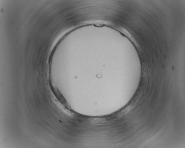 X0000067401140200604281901