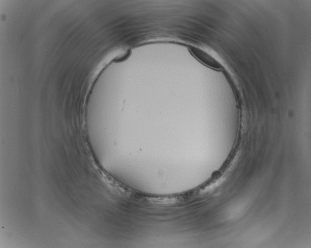 X0000067401145200604281901