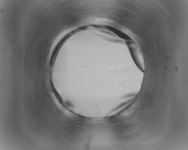 X0000067401152200604281901