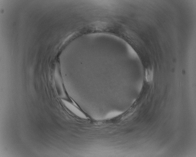 X0000067401155200604281900