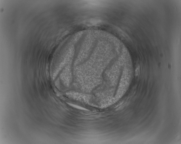 X0000067401156200604281900