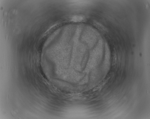 X0000067401158200604281900