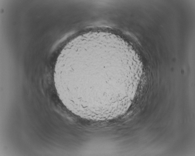 X0000067401159200604281900