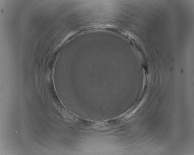 X0000067401161200604281900