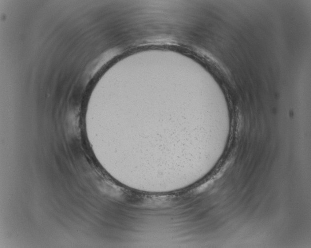 X0000067401162200604281900