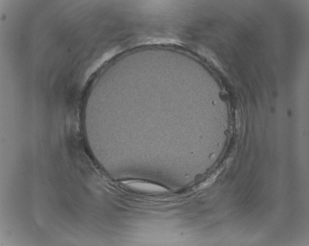 X0000067401165200604281900