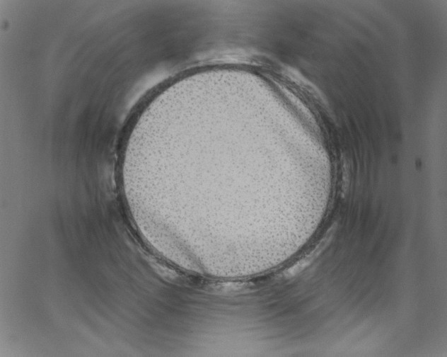 X0000067401166200604281900