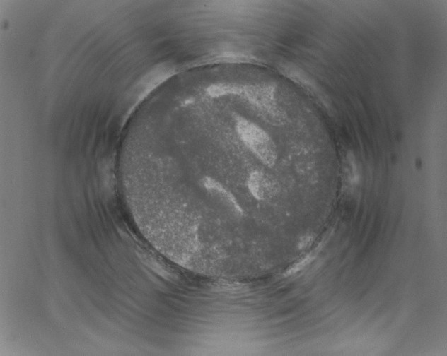 X0000067401170200604281900