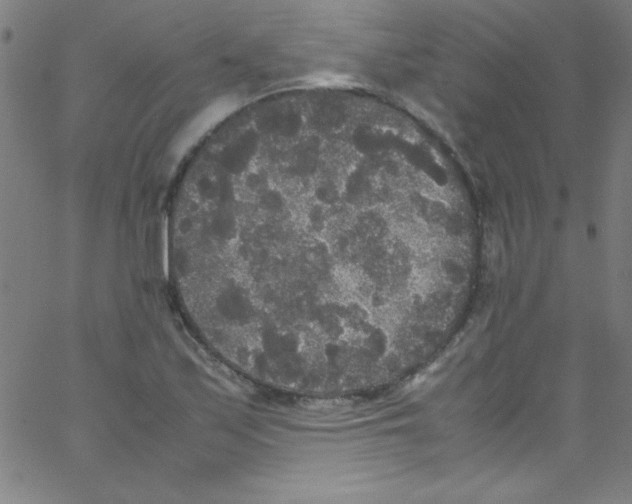 X0000067401171200604281900