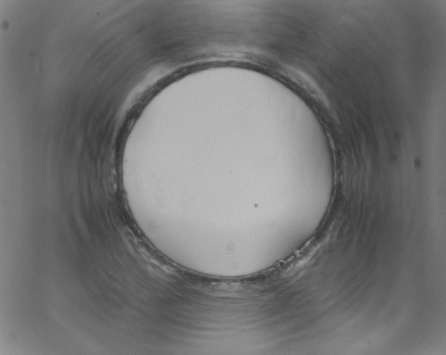 X0000067401172200604281900