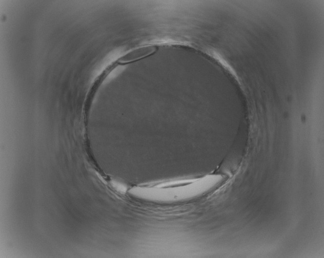 X0000067401173200604281900