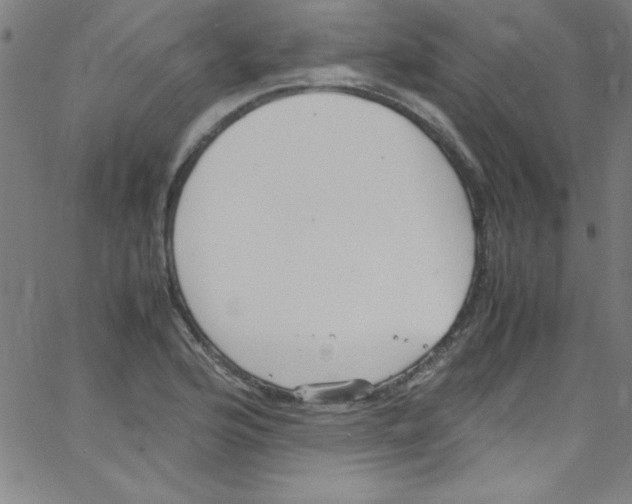 X0000067401176200604281900