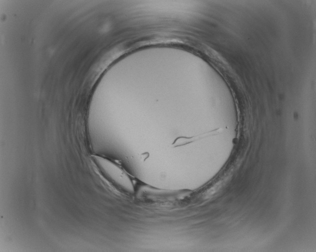 X0000067401177200604281900