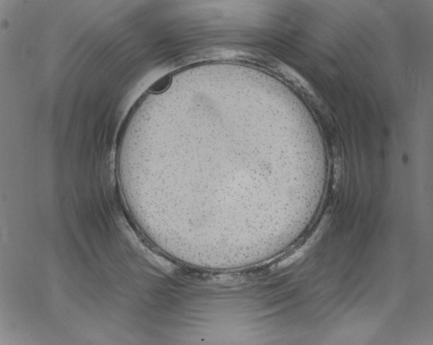 X0000067401178200604281900