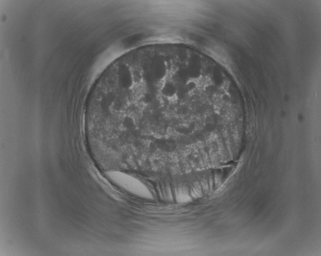 X0000067401179200604281900