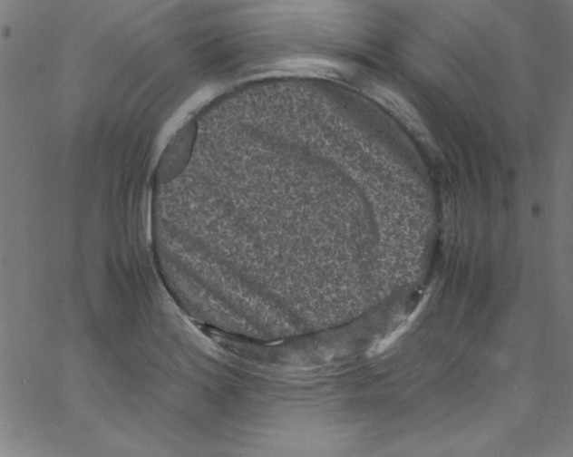 X0000067401180200604281900