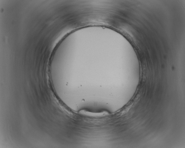 X0000067401182200604281900