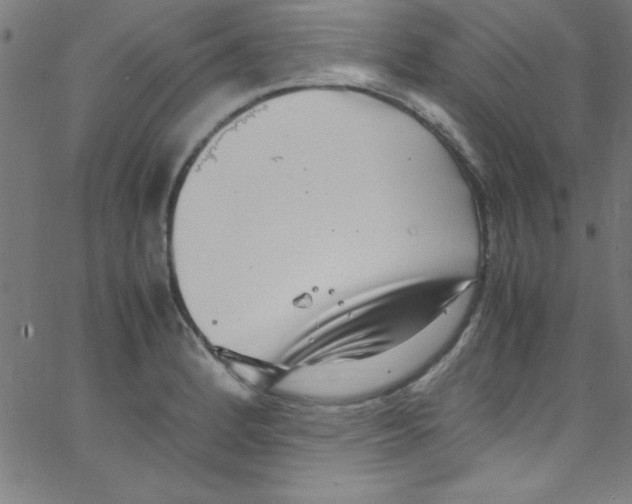 X0000067401184200604281900