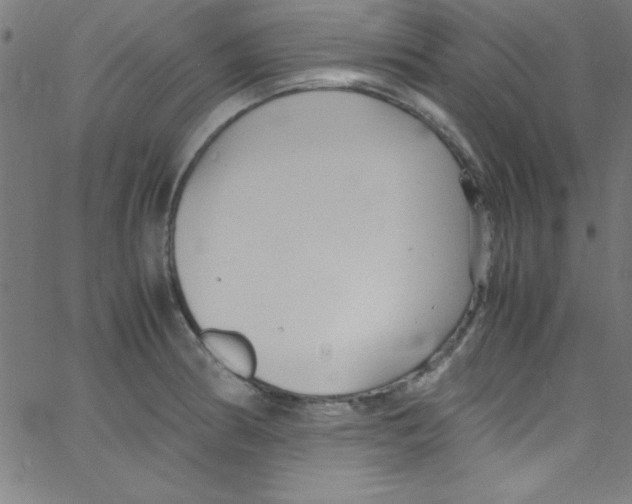 X0000067401186200604281900