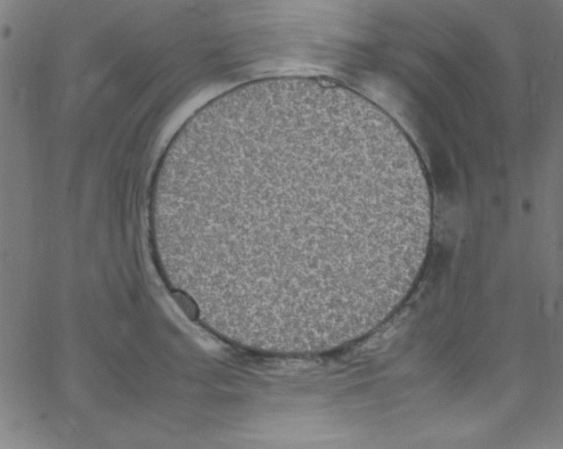 X0000067401187200604281900