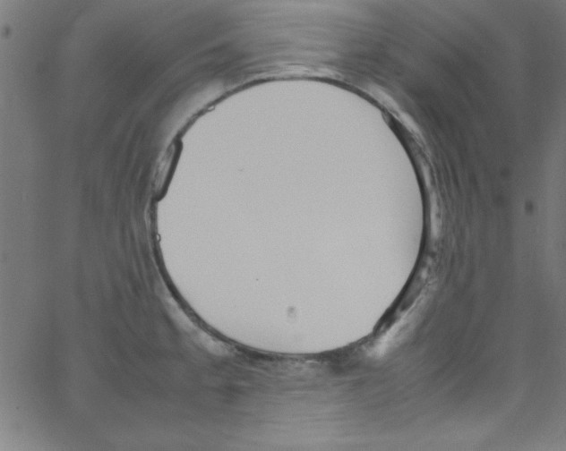 X0000067401189200604281900