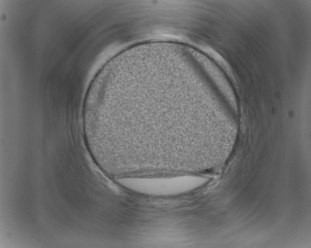 X0000067401191200604281900