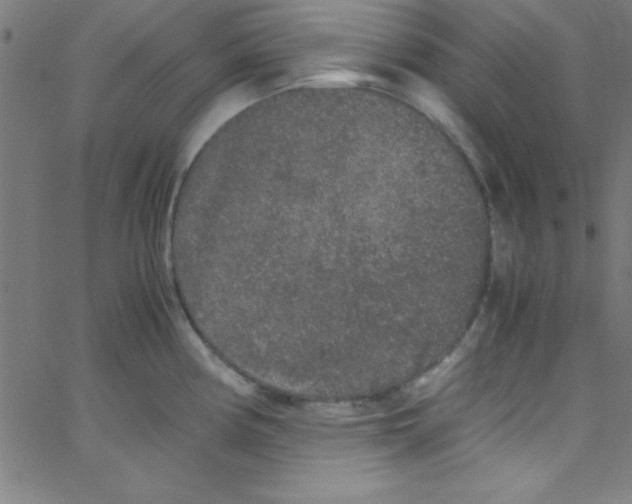 X0000067401194200604281900