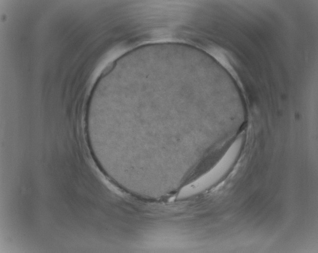 X0000067401197200604281900