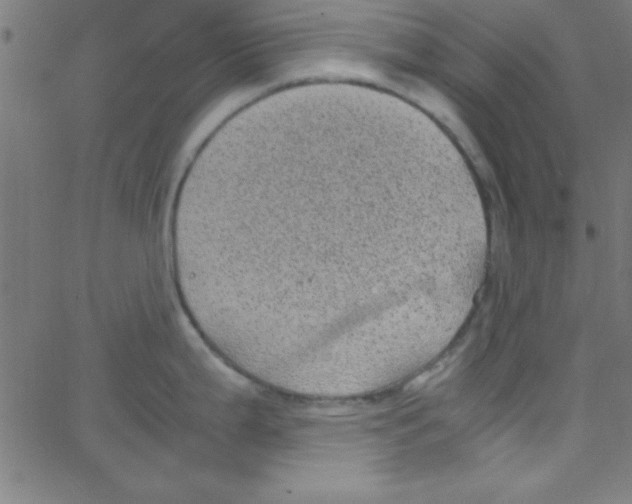 X0000067401199200604281900