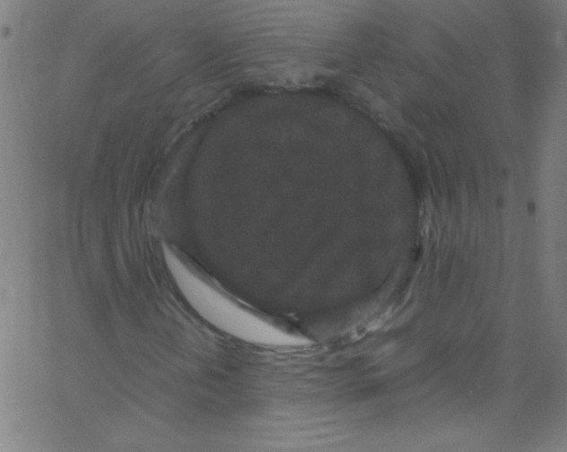 X0000067401202200604281859