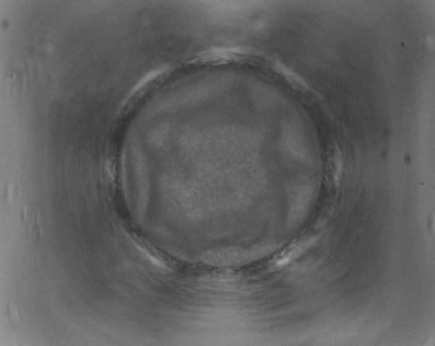 X0000067401206200604281859