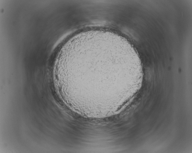 X0000067401208200604281859