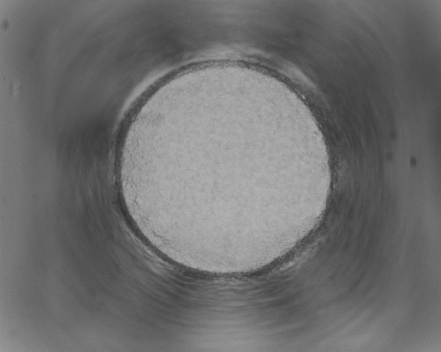 X0000067401216200604281859
