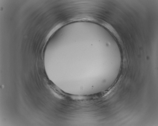 X0000067401242200604281900