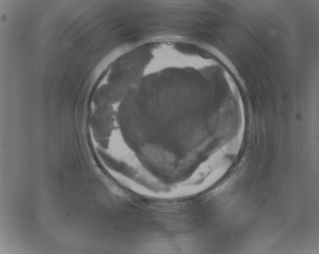 X0000067401245200604281900