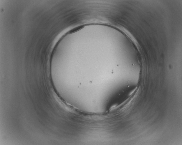 X0000067401246200604281900