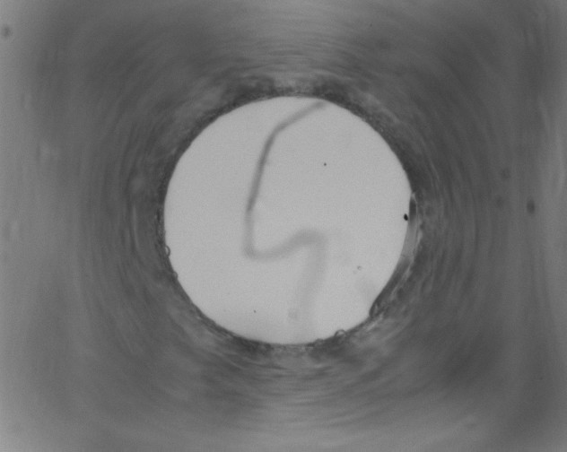 X0000067401249200604281859