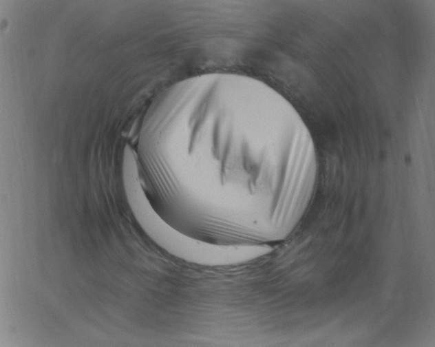 X0000067401250200604281859