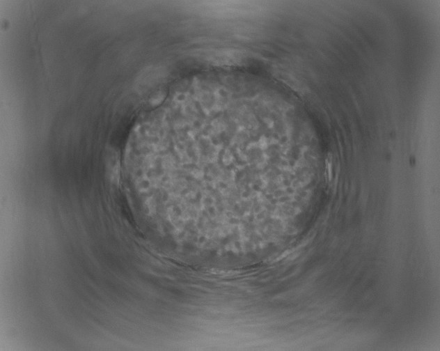 X0000067401251200604281859