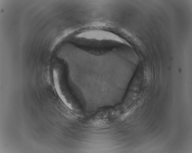 X0000067401262200604281859