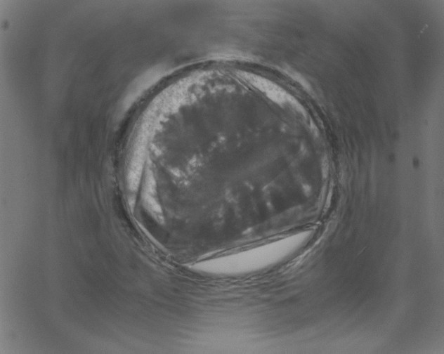 X0000067401263200604281859