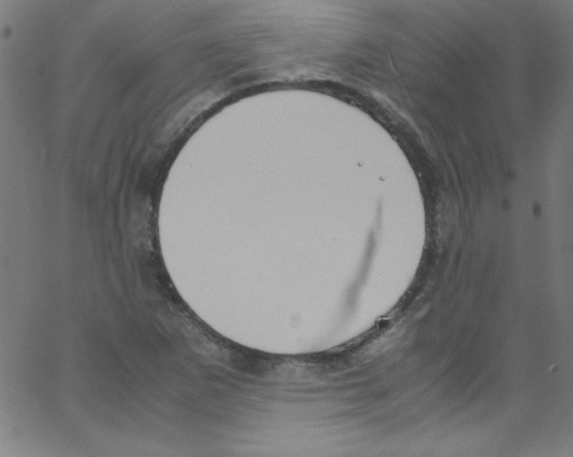 X0000067401265200604281859