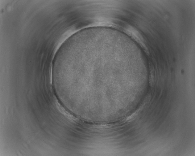 X0000067401276200604281858